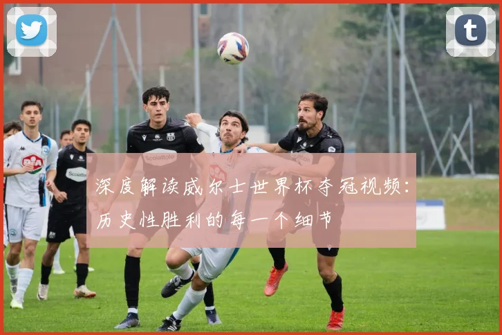 深度解读威尔士世界杯夺冠视频：历史性胜利的每一个细节