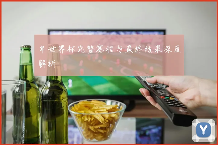 年世界杯完整赛程与最终结果深度解析