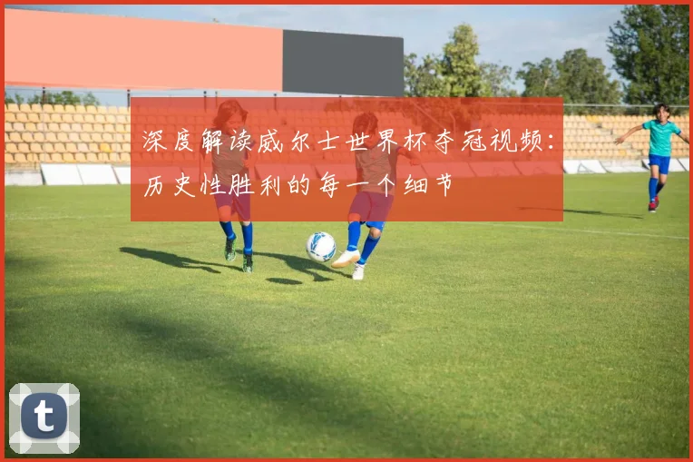深度解读威尔士世界杯夺冠视频:历史性胜利的每一个细节