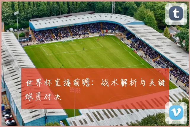 世界杯直播前瞻：战术解析与关键球员对决