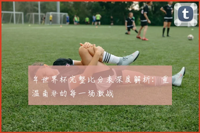年世界杯完整比分表深度解析：重温南非的每一场激战