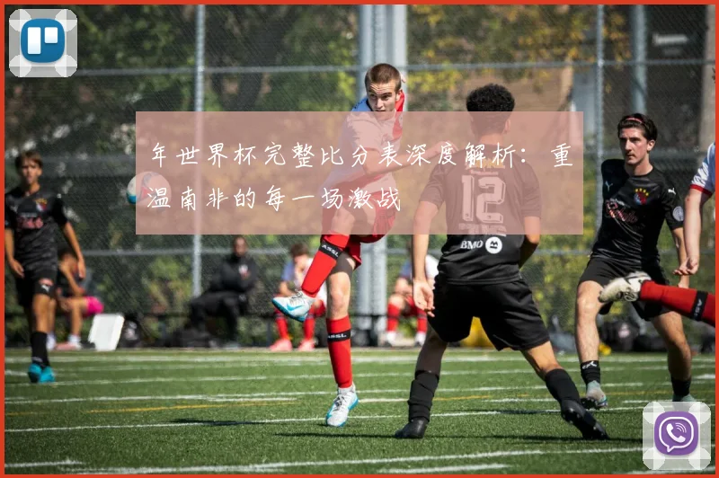 年世界杯完整比分表深度解析：重温南非的每一场激战