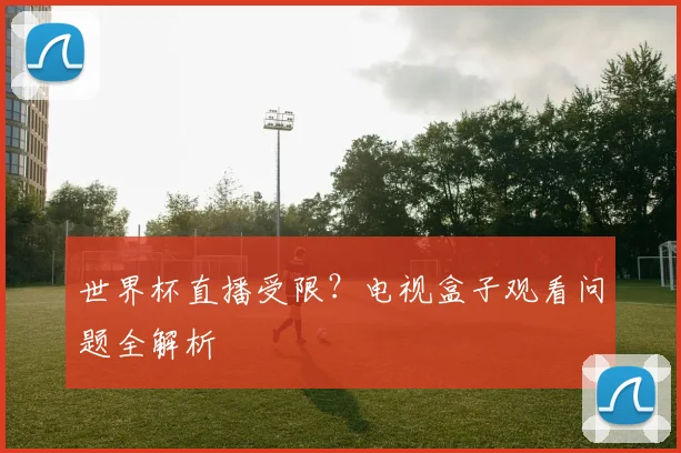 世界杯直播受限？电视盒子观看问题全解析