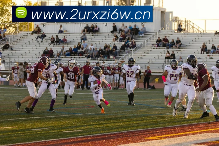 星空电竞官网APP 封面图